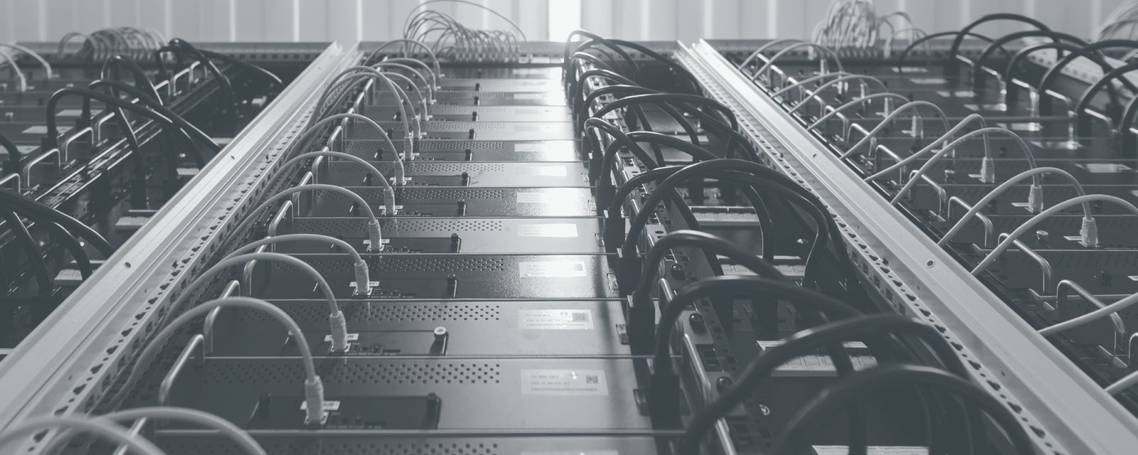 Rows of hosted ASIC miners with network and power cabling at one of our sites
